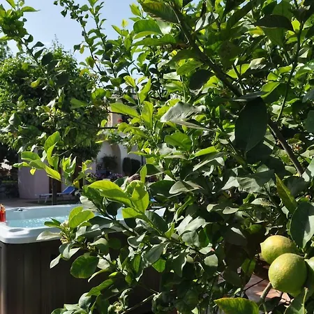 Praiola - Exclusive Seafacing Mansion With Pool And Jacuzzi *