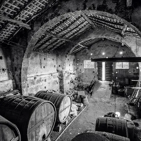 Βίλα Praiola - Exclusive Seafacing Mansion With Pool And Jacuzzi San Leonardello